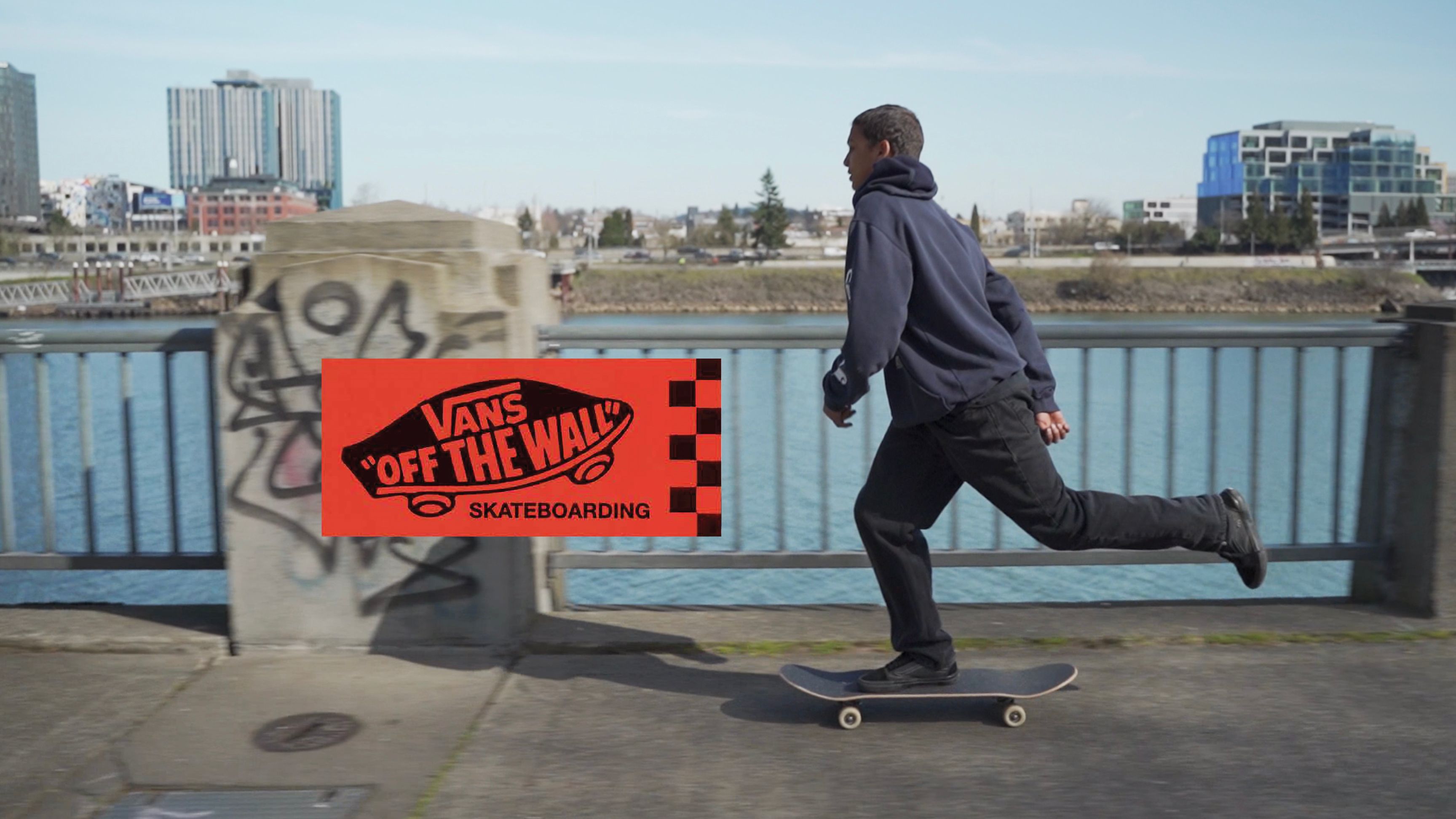 Vans - Skate Classics